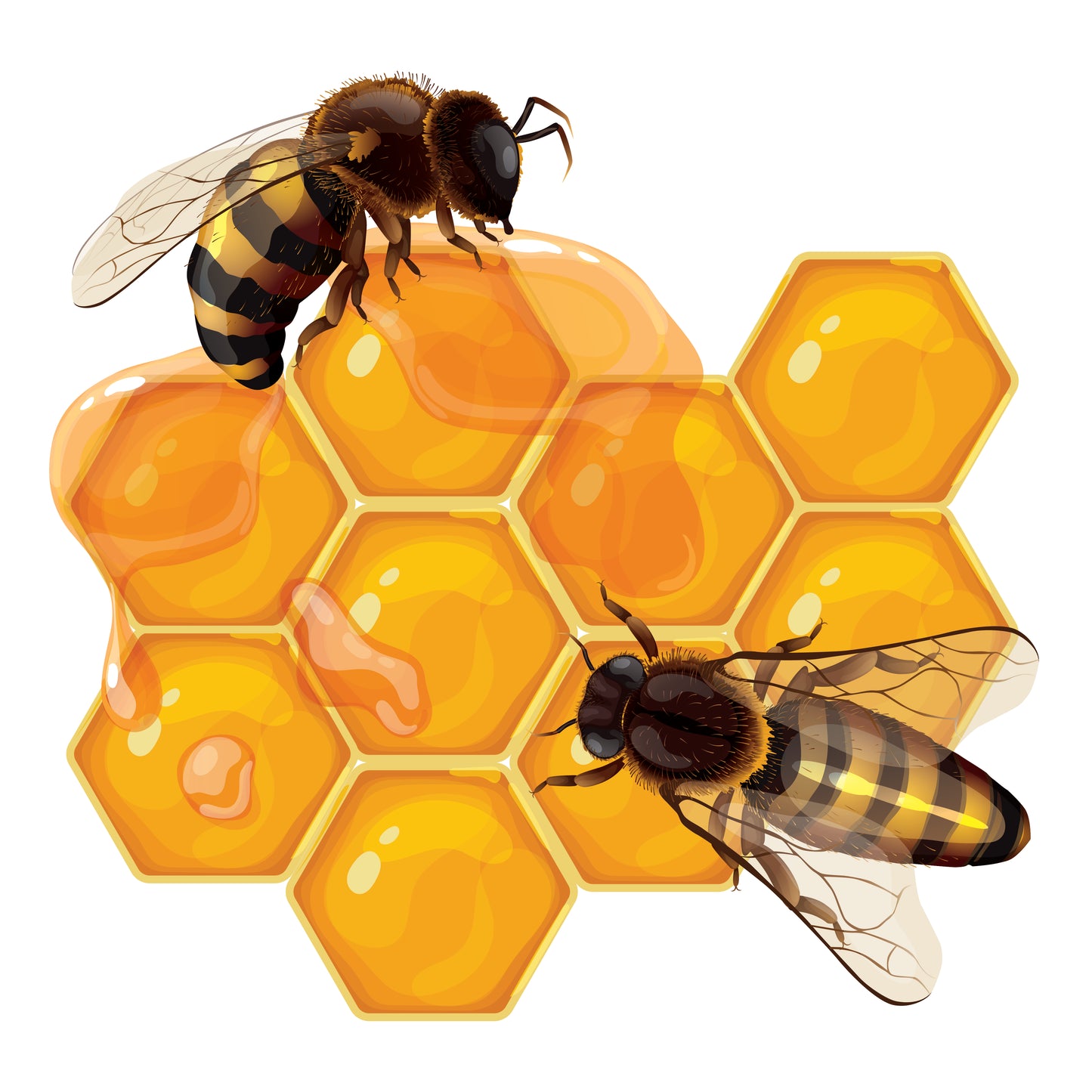 Lychee honey